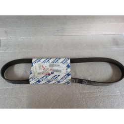 PAS WIELOROWKOWY 323019750